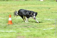 012 FLINZER -09092017-OBE 3288OBEISSANCE BIEVRES - CLASSE 1 : 2017, CC DE LA VALLEE DE LA BIEVRE, CLASSE 1, CONCOURS OBEISSANCE, FLINZER, Samedi 9 Septembrre 2017