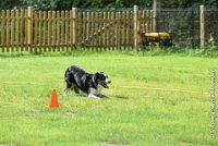 024 FLINZER -09092017-OBE 3316OBEISSANCE BIEVRES - CLASSE 1 : 2017, CC DE LA VALLEE DE LA BIEVRE, CLASSE 1, CONCOURS OBEISSANCE, FLINZER, Samedi 9 Septembrre 2017