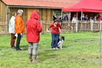 026 FLINZER -09092017-OBE 3324OBEISSANCE BIEVRES - CLASSE 1 : 2017, CC DE LA VALLEE DE LA BIEVRE, CLASSE 1, CONCOURS OBEISSANCE, FLINZER, Samedi 9 Septembrre 2017