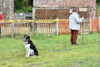 031 FLINZER -09092017-OBE 3338OBEISSANCE BIEVRES - CLASSE 1 : 2017, CC DE LA VALLEE DE LA BIEVRE, CLASSE 1, CONCOURS OBEISSANCE, FLINZER, Samedi 9 Septembrre 2017