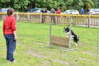 033 FLINZER -09092017-OBE 3342OBEISSANCE BIEVRES - CLASSE 1 : 2017, CC DE LA VALLEE DE LA BIEVRE, CLASSE 1, CONCOURS OBEISSANCE, FLINZER, Samedi 9 Septembrre 2017