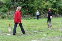 012 FLUFF -09092017-OBE 3617OBEISSANCE BIEVRES - CLASSE 1 : CC DE LA VALLEE DE LA BIEVRE, CLASSE 2, CONCOURS OBEISSANCE, FLUFF DES NEWZANTHYNES, Samedi 9 Septembrre 2017