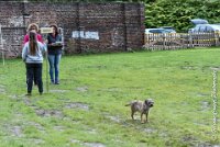 024 FLUFF -09092017-OBE 3638OBEISSANCE BIEVRES - CLASSE 1 : CC DE LA VALLEE DE LA BIEVRE, CLASSE 2, CONCOURS OBEISSANCE, FLUFF DES NEWZANTHYNES, Samedi 9 Septembrre 2017