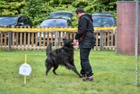 046 ICE BREAKER -OBE 5644 : 2017, CC DE LA VALLEE DE LA BIEVRE, CLASSE 3, CONCOURS OBEISSANCE, Dimanche 10 Septembre 2017, ICE BREAKER