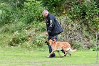 015 I ZEN -09092017-OBE 3463OBEISSANCE BIEVRES - CLASSE 1 : CC DE LA VALLEE DE LA BIEVRE, CLASSE 2, CONCOURS OBEISSANCE, I'ZEN DU CLOS D'IVAN, Samedi 9 Septembrre 2017