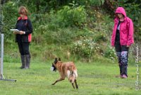 031 I ZEN -09092017-OBE 3486OBEISSANCE BIEVRES - CLASSE 1 : CC DE LA VALLEE DE LA BIEVRE, CLASSE 2, CONCOURS OBEISSANCE, I'ZEN DU CLOS D'IVAN, Samedi 9 Septembrre 2017