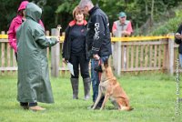 033 I ZEN -09092017-OBE 3490OBEISSANCE BIEVRES - CLASSE 1 : CC DE LA VALLEE DE LA BIEVRE, CLASSE 2, CONCOURS OBEISSANCE, I'ZEN DU CLOS D'IVAN, Samedi 9 Septembrre 2017