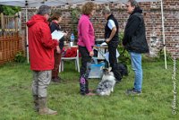 006 JACADI -09092017-OBE 2738OBEISSANCE BIEVRES - CLASSE 1 : 2017, CC DE LA VALLEE DE LA BIEVRE, CLASSE 1, CONCOURS OBEISSANCE, JACADI HELLO LYLA DES DIABLOTINS DE NOOCH