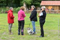 050 JACADI -09092017-OBE 2817OBEISSANCE BIEVRES - CLASSE 1 : 2017, CC DE LA VALLEE DE LA BIEVRE, CLASSE 1, CONCOURS OBEISSANCE, JACADI HELLO LYLA DES DIABLOTINS DE NOOCH